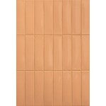 41ZERO42 Kappa Tangerine 5x20, afname per doos van 0,6 m²