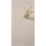 41ZERO42 Superclassica SCB Flamed 60x120, afname per doos van 1,44 m²