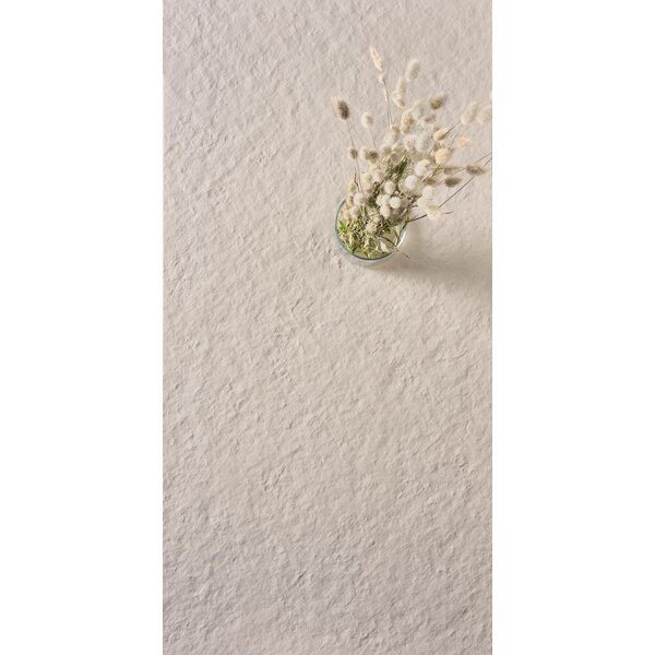 41ZERO42 Superclassica SCB Flamed 60x120, afname per doos van 1,44 m²