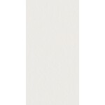 41ZERO42 Superclassica SCW Flamed 60x120, afname per doos van 1,44 m²