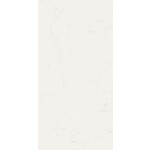 41ZERO42 Superclassica SCW Polished 60x120, afname per doos van 1,44 m²