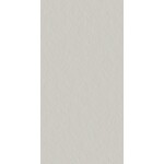 41ZERO42 Superclassica SCG Flamed 60x120, afname per doos van 1,44 m²