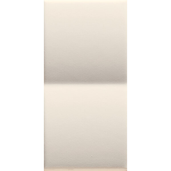 41ZERO42 Mou Milk Matte mix 6,2x12,5, afname per doos van 0,51 m²
