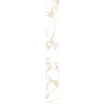 41ZERO42 Pulp Gold Raw 10x60, afname per doos van 0,78 m²