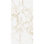 41ZERO42 Pulp Gold Raw 60x120, afname per doos van 1,44 m²