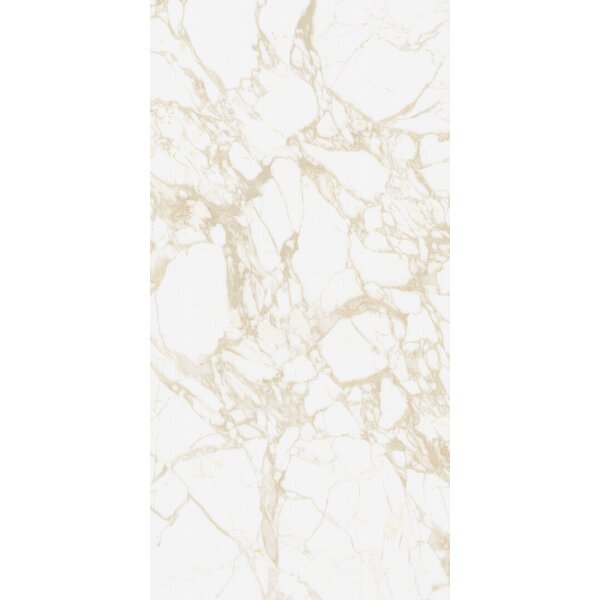 41ZERO42 Pulp Gold Raw 60x120, afname per doos van 1,44 m²
