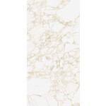 41ZERO42 Pulp Gold Raw 60x120, afname per doos van 1,44 m²