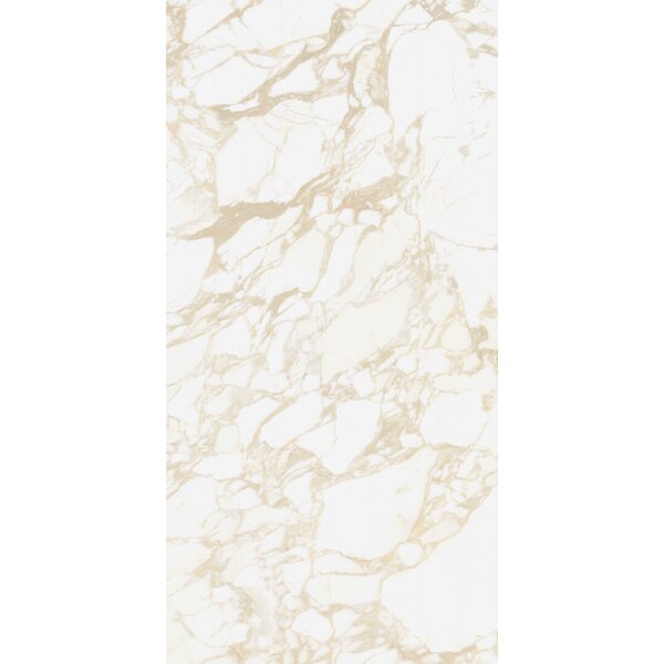 41ZERO42 Pulp Gold Raw 60x120, afname per doos van 1,44 m²