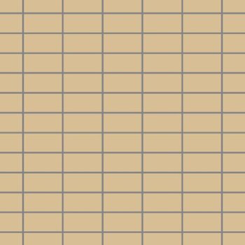 Winckelmans Rectangles 5x10 cm, kruisvoeg, vlak, cognac (COG), 9 mm dik a 0,581 m²