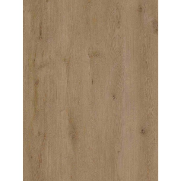 Ekofloors Plak PVC Excellent - Alpen 23,8x122,9 cm, afname per doos van 3,51 m²
