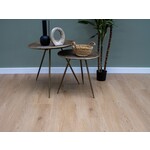 Ekofloors Plak PVC Excellent - Alpen 23,8x122,9 cm, afname per doos van 3,51 m²