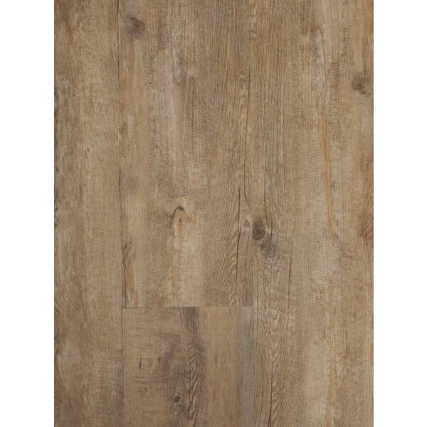 Ekofloors Plak PVC Excellent - Olympus 23,8x122,9 cm, afname per doos van 3,51 m²