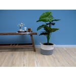 Ekofloors Plak PVC Solid - Corfu 23,8x122,9 cm, afname per doos van 4,1 m²
