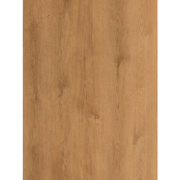 Ekofloors Plak PVC Solid - Madeira 23,8x122,9 cm, afname per doos van 4,1 m²