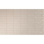 Bejmat White Gloss 15x5, afname per doos van 0,469 m²