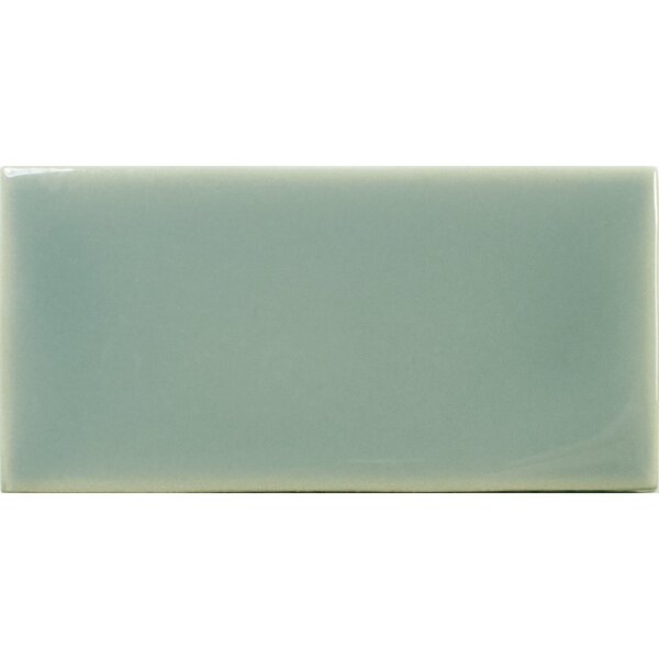 Fayenza Fern 6,2x12,5, afname per doos van 0,5 m²