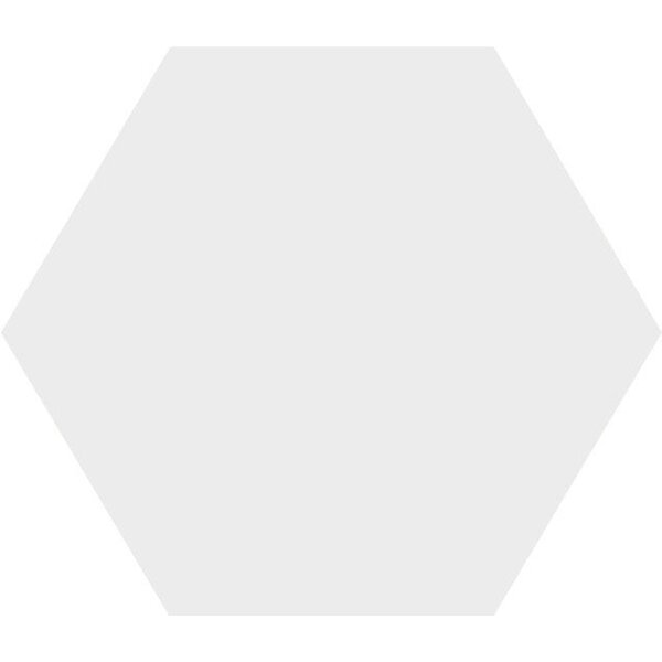 Winckelmans Hexagon 10 cm Superblanc (BAS) op net, 9 mm dik, afname per doos van 0,45 m²