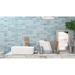 Fez Aqua Gloss 6,2x12,5, afname per doos van 0,484 m²