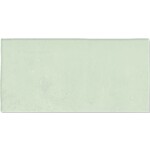 Fez Mint Matt 6,2x12,5, afname per doos van 0,484 m²