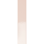 41ZERO42 Spectre Rose Hologram 5x25, afname per doos van 0,30 m²