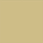 Winckelmans Squares 10x10 vlak Cognac (COG)), 9 mm dik, afname per doos van 0,5 m²