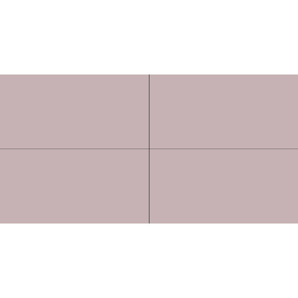 Winckelmans Rectangles 5x10 cm, vlak, Parma (PAR), 9 mm dik, afname per doos van 0,25 m²