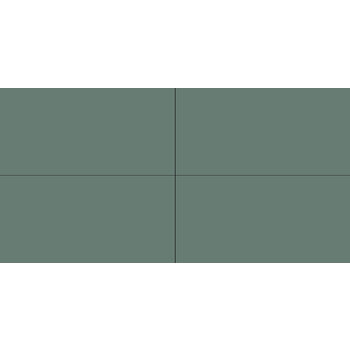 Winckelmans Rectangles 5x10 cm, vlak, vert (VEU), 9 mm dik a 0,25 m²
