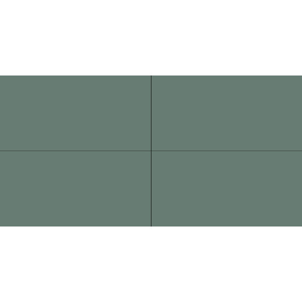 Winckelmans Rectangles 5x10 cm, vlak, vert (VEU), 9 mm dik, afname per doos van 0,25 m²