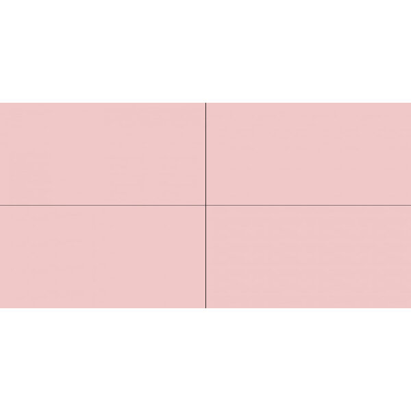 Winckelmans Rectangles 10x20 cm, vlak, rose (RSU), 9 mm dik, afname per doos van 0,5 m²