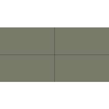 Winckelmans Rectangles 10x20 cm, vlak, Australian green (VEA), 9 mm dik a 0,5 m²