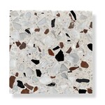 De Tegel BV Terrazzo Collezione Sassi Romagna 60x60x2 cm, afname per tegel van 0,36 m²
