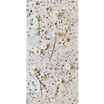 De Tegel BV Terrazzo Collezione Sassi Fenillia 60x60x2 cm, afname per tegel van 0,36 m²