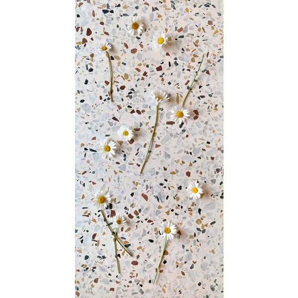 De Tegel BV Terrazzo Collezione Sassi Fenillia 60x60x2 cm, afname per tegel van 0,36 m²