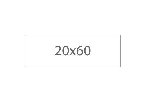 20x60
