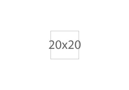 20x20