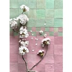 De Tegel BV Zellige Alhambra nr 05 Rose 10x10 cm, afname per doos van 1 m²