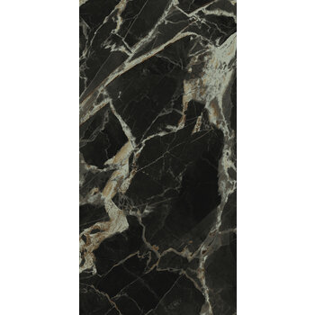 La Fabbrica AVA Black Gold Gepolijst 276102 60x120 cm a 1,44 m²