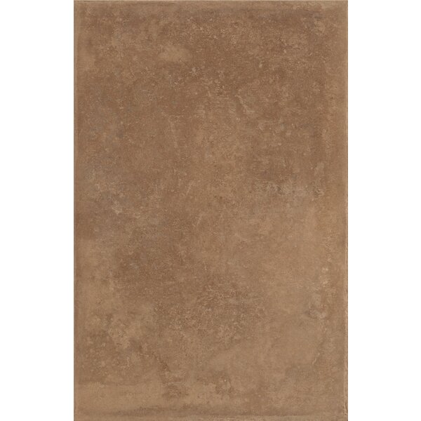 La Fabbrica AVA Cotto del Casale Bruno Antislip R11C 161016 40,6x60,9 cm, afname per doos van 1,23 m²