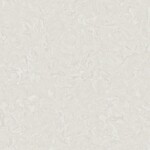 Arcana Spuma-R Panna 120x120, afname per doos van 1,44 m²