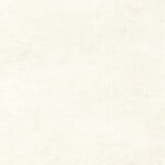 IMSO Lime Perla 60x60 R10, afname per doos van 1,08 m²