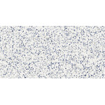 Marazzi Frammento MN13 60X120 Macro Azzuro 9mm Mat R10, afname per doos van 1,44 m²