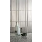 41ZERO42 Cromo 5x25, afname per doos van 0,3 m²