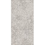 41ZERO42 Brutus Rugged 60x120, afname per doos van 1,44 m²