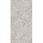 41ZERO42 Brutus Rugged 60x120, afname per doos van 1,44 m²