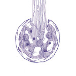 41ZERO42 Stories Eddie Matte 10x10, afname per doos van 0,6 m²