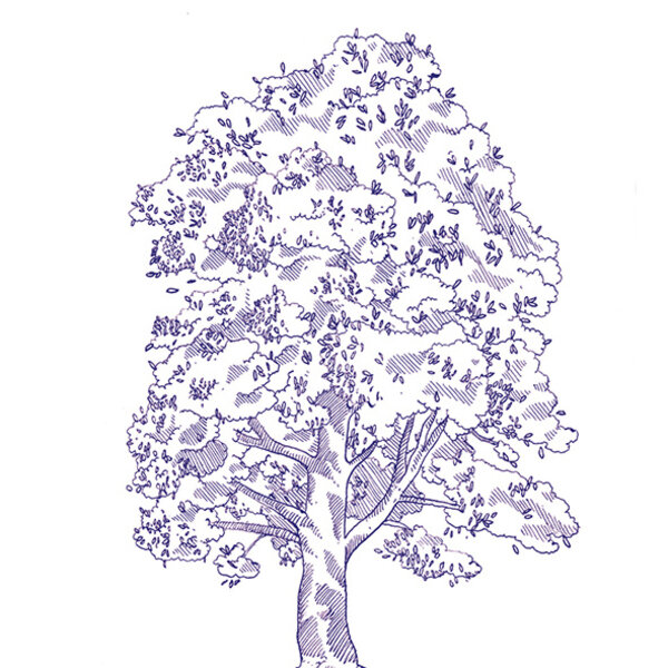 41ZERO42 Stories Eddie Lux 10x10, afname per doos van 0,6 m²