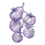 41ZERO42 Stories Eddie Lux 10x10, afname per doos van 0,6 m²