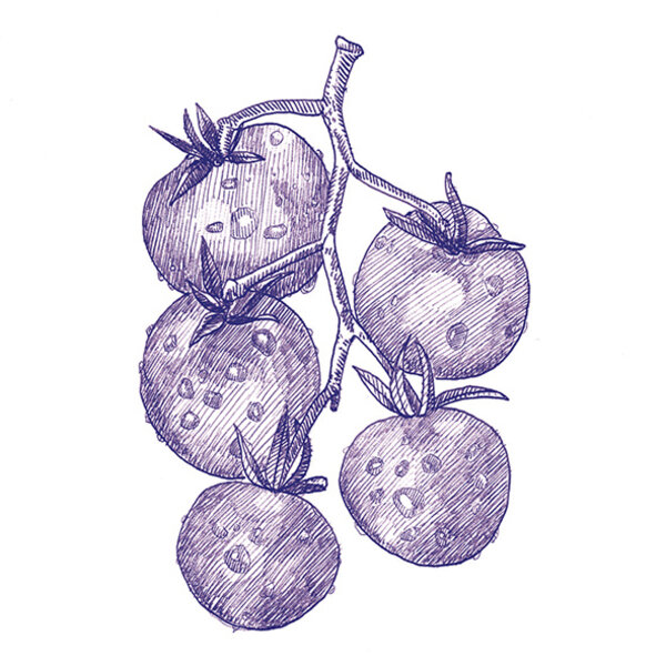 41ZERO42 Stories Eddie Lux 10x10, afname per doos van 0,6 m²