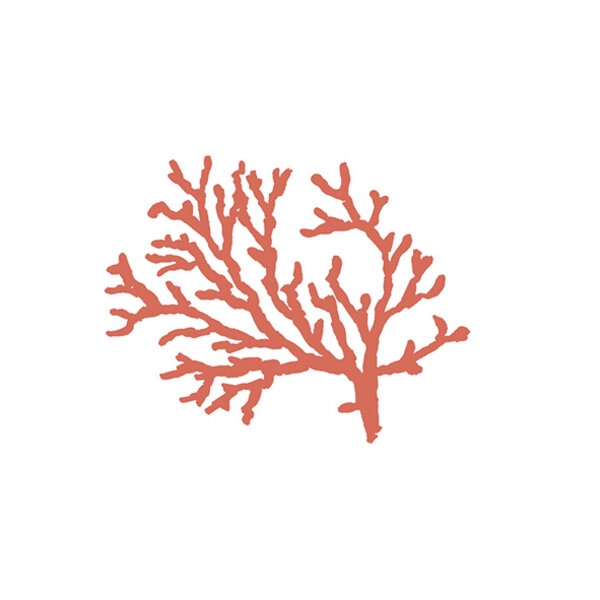 41ZERO42 Stories Costiera Matte 10x10, afname per doos van 0,6 m²