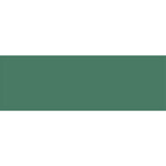 Winckelmans Rectangles 5x15 cm, vlak, vert fonce (VEF), 9 mm dik, afname per doos van 0,15 m²